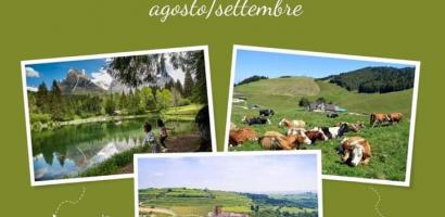 Foto news 4