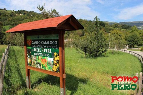 Foto dell'itinerario